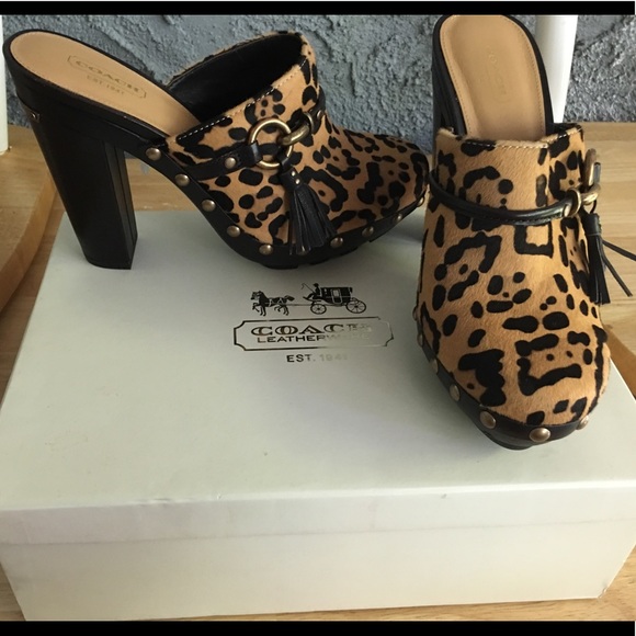 Brand new in box coach cheetah clogs - Picture 1 of 6
